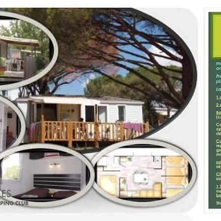 Mobile Home Texas Cosy 8 Personnes 3 Chambres Le Muy Extérieur photo